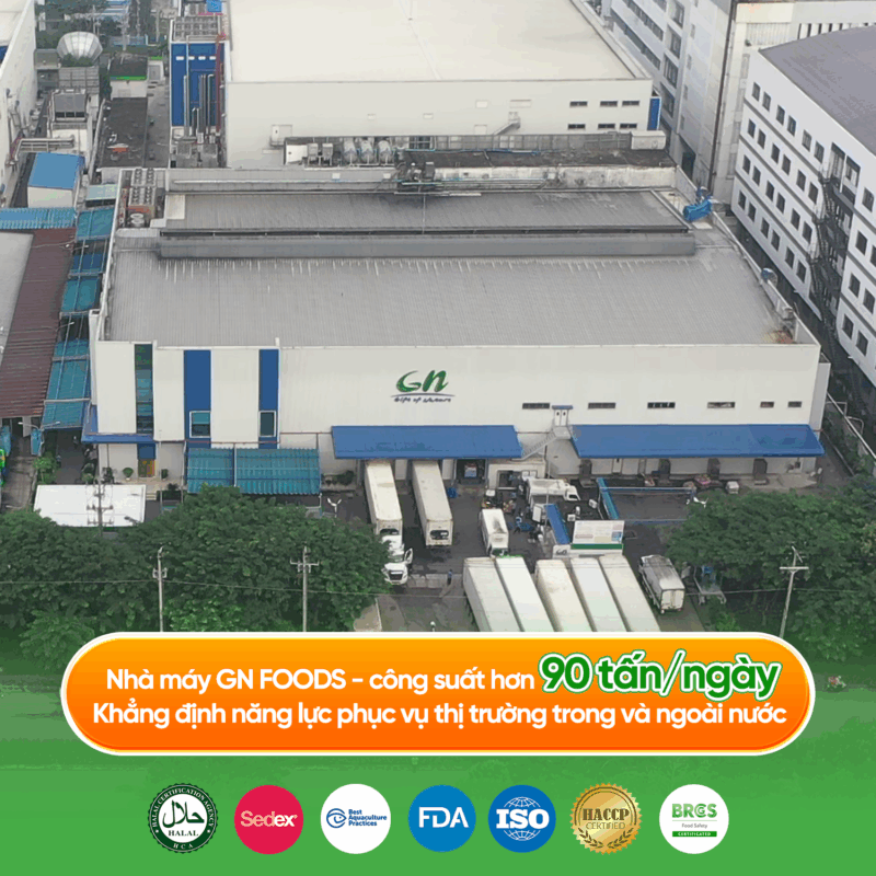 GN FOODS là nền tảng sản xuất thực phẩm tiện lợi, chất lượng cao cho thị trường trong nước và quốc tế.
