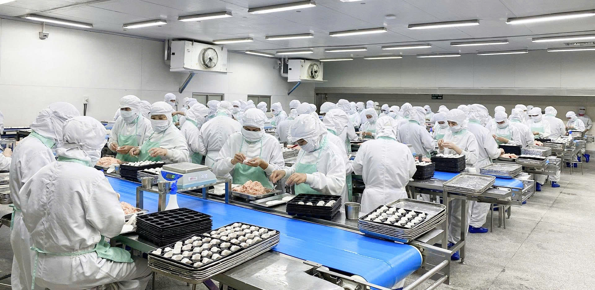 Dây chuyền sản xuất hiện đại, quy mô lớn – Cam kết chất lượng chuẩn hóa và nguồn cung ổn định