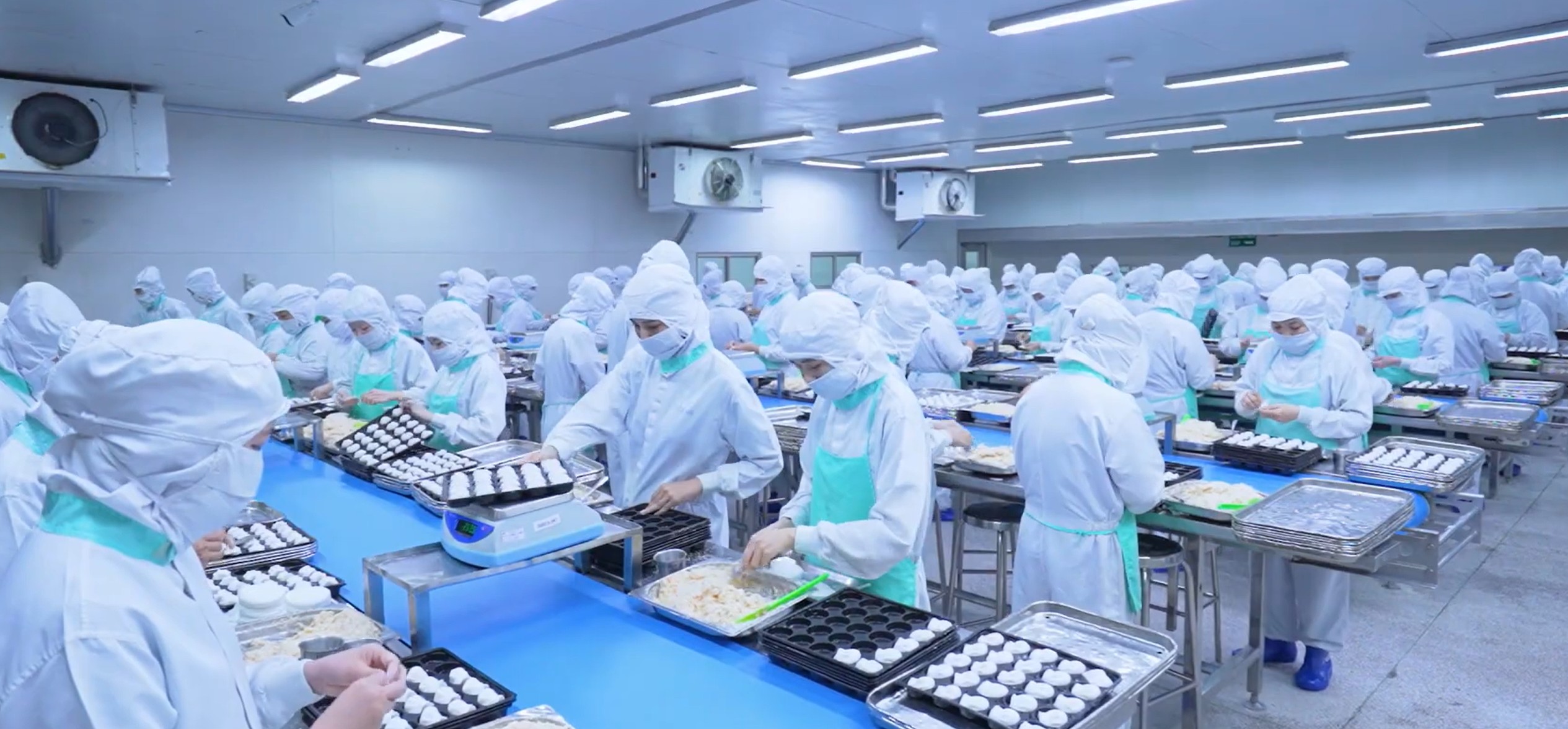 Nguồn hàng há cảo sỉ đông lạnh IQF HI-FOODS chất lượng cao giải pháp tối ưu chi phí cho chuỗi F&B