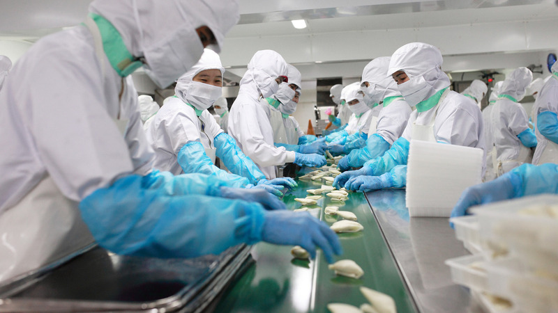 Dây chuyền gia công thực phẩm đông lạnh B2B theo công thức độc quyền tại nhà máy